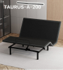 TAURUS-200 Bedroom Furniture Adjustable Electric Bed Frame Base Zero Clearance With Wireless Remote Slim Package Made in China